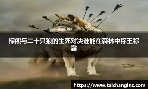谈球吧