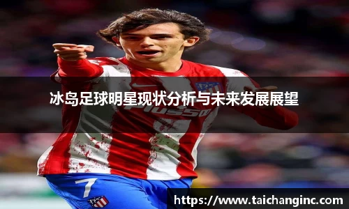 冰岛足球明星现状分析与未来发展展望